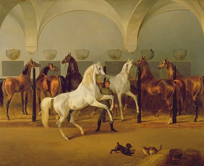 Die Ställe von Babolna, 1849 von Otto Stotz